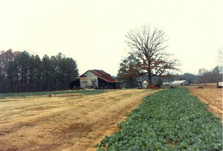Vest Sharecropper Farm